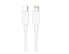 CABLE TIPO C A LIGHTING FUJITEL 12W 1.2 MTS1