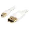 CABLE MINI DP A DISPLAY PORT DM1