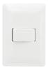 INTERRUPTOR PARA MURO SIMPLE 250V 10A 1