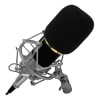 MICROFONO CONDENSADOR HOME STUDIO AUDIO PRO 1