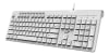 TECLADO ALÁMBRICO USB SLIMSTAR 230 BLANCO Y NEGRO1