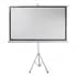 TELON 100¨ ESTANDAR CON TRIPOD BLANCO MATE PHILCO 1