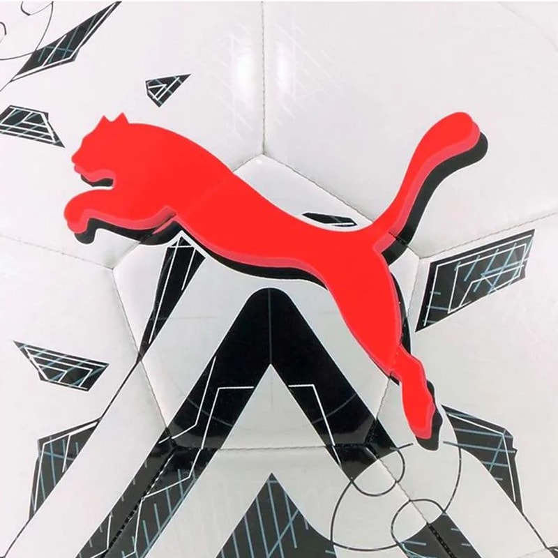 Pelota Puma Orbite3