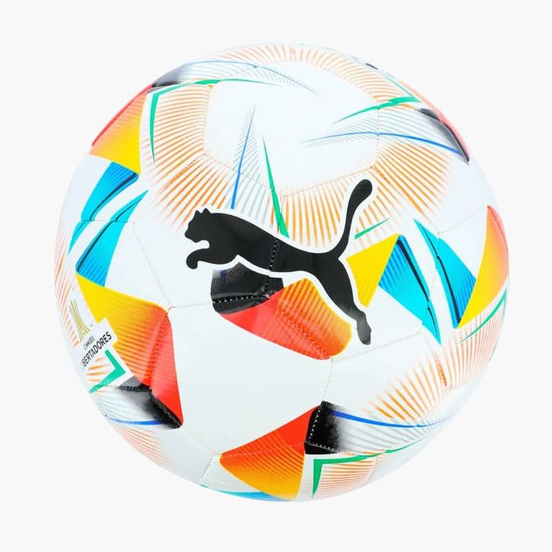 Pelota Puma Cumbre Conmebol Libertadores1