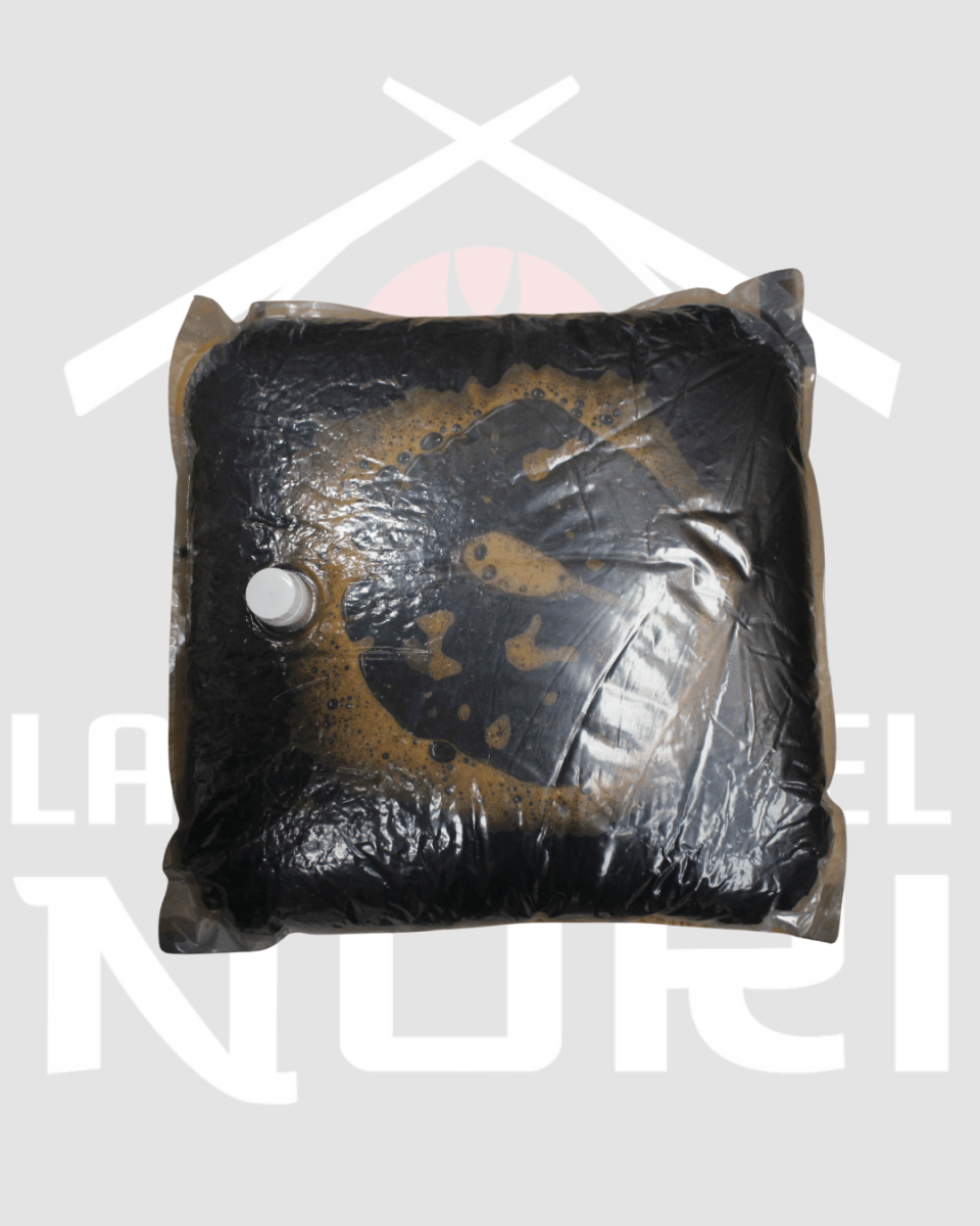 SOYA SHIBANUMA 18 LT1