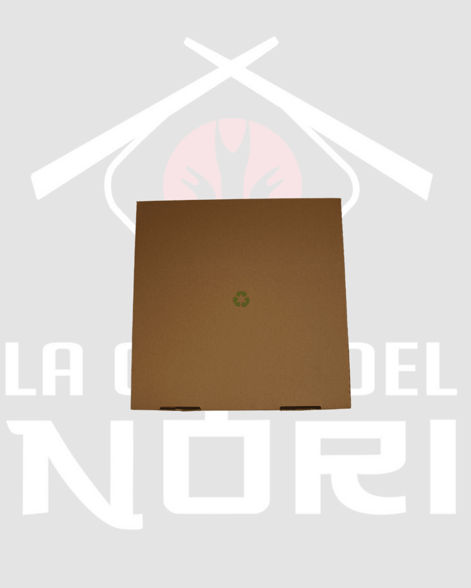 CAJA PIZZA1