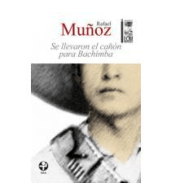 SE LLEVARON EL CAÑON PARA BACHIMBA1