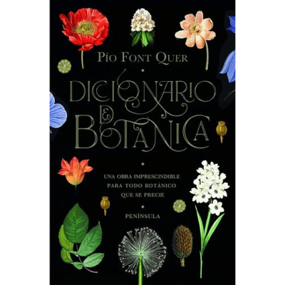 DICCIONARIO DE BOTANICA