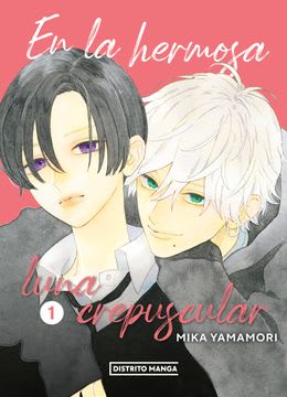 EN LA HERMOSA LUNA CREPUSCULAR (DISTRITO MANGA)1