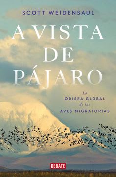 A VISTA DE PAJARO 1