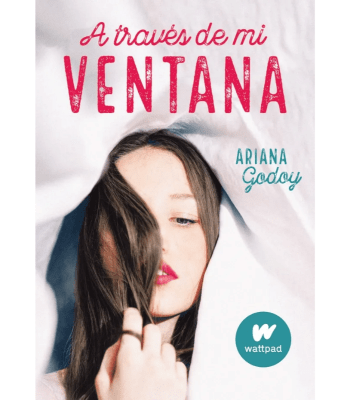 A TRAVES DE MI VENTANA 2