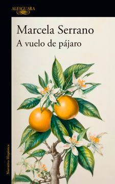 A VUELO DE PAJARO 1