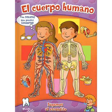 EL CUERPO HUMANO JUGAMOS AL ESCONDITE1