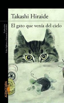 EL GATO QUE VENIA DEL CIELO1