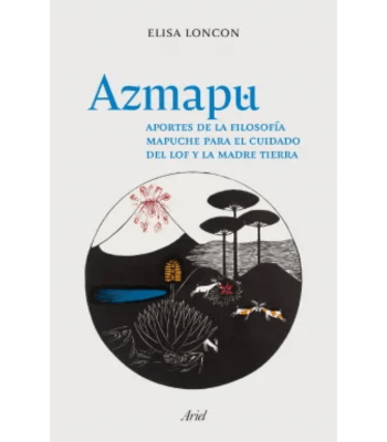 AZMAPU 1