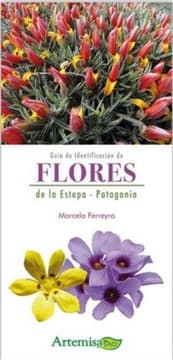 FLORES DE LA ESTEPA - PATAGONIA 1
