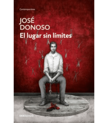 EL LUGAR SIN LIMITES (DEBOLSILLO)1