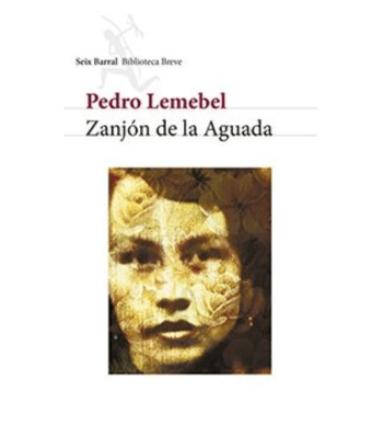 ZANJON DE LA AGUADA1