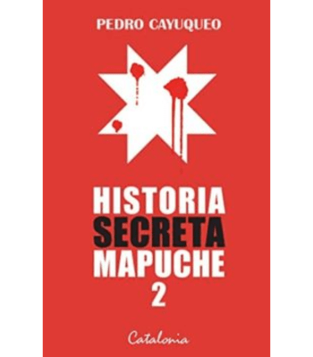 HISTORIA SECRETA MAPUCHE 21