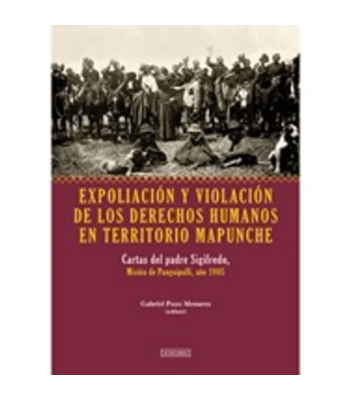 EXPOLIACION Y VIOLACION DE LOS DD.HH EN TERRITORIO MAPUNCHE 1