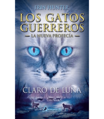 FUEGO Y FURIA 1