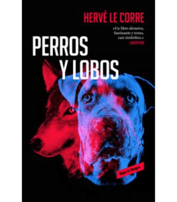 LOS PERROS Y LOS LOSBOS1