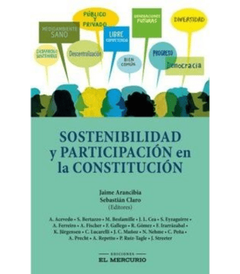 SOSTENIBILIDAD Y PARTICIPACION EN LA CONSTITUCION1