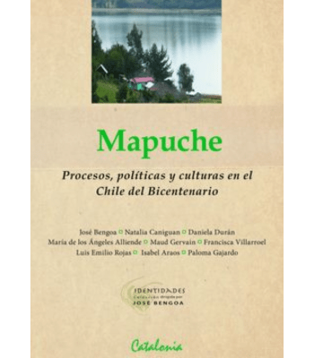 MAPUCHE PROCESOS POLITICOS1