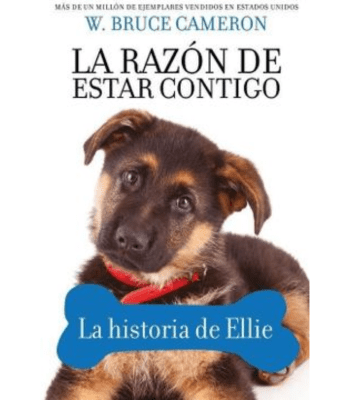 LA RAZON DE ESTAR CONTIGO , LA HISTORIA DE ELLIE 1
