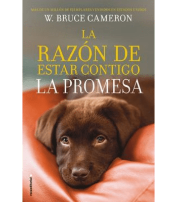 LA RAZON DE ESTAR CONTIGO: LA PROMESA1