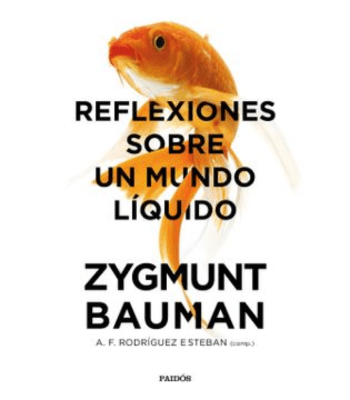 REFLEXIONES SOBRE EL MUNDO LIQUIDO1