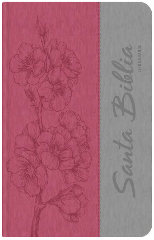 Biblia Letra Grande con Himnario - Rosa oscuro y gris (Flores) Biblia Letra Grande con Himnario - Rosa oscuro y gris (Flores)