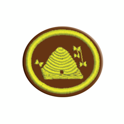 ESPECIALIDAD DE APICULTURA - AA 004