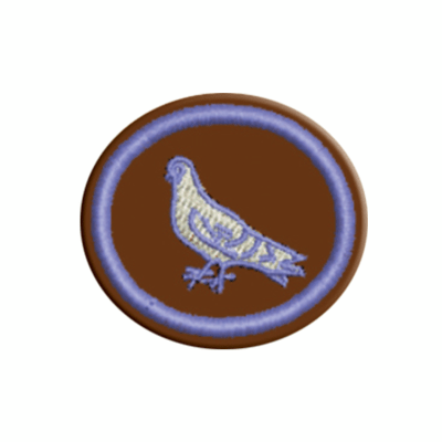 ESPECIALIDAD DE CRÍA DE PALOMAS - AA 012