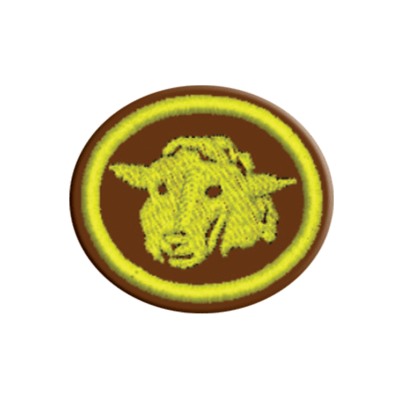 ESPECIALIDAD DE CRÍA DE OVEJAS - AA 013