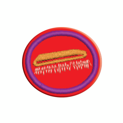 ESPECIALIDAD DE EMPAPELADO DE PARED - AP015