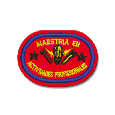 MAESTRÍA EN ACTIVIDADES PROFESIONALES - 005