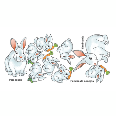CONEJITOS 35 X 35 CM