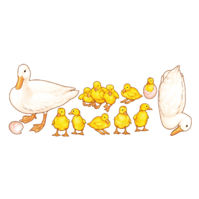 PATITOS 35 X 35 CM