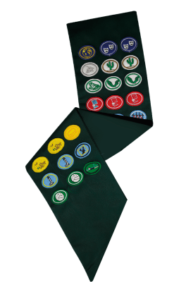 BANDA DE ESPECIALIDADES DE CONQUISTADORES