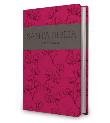 BIBLIA LETRA GIGANTE ROSADA - NRV 2000