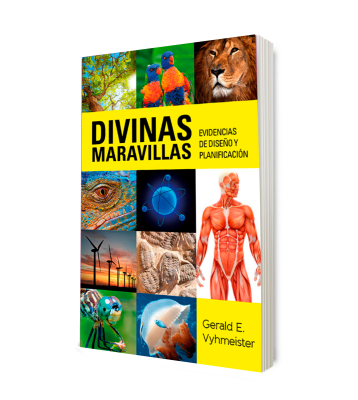 DIVINAS MARAVILLAS- EVIDENCIAS DE DISEÑO Y PLANIFICACIÓN
