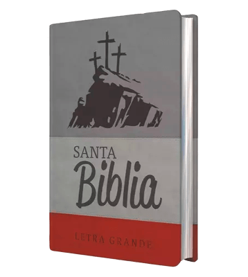 Biblia Letra Grande con Himnario - Gris y bordó