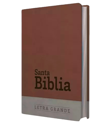 Biblia Letra Grande con Himnario - Chocolate y gris