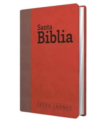 Biblia Letra Grande con Himnario - Granate y chocolate