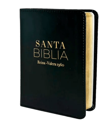 BIBLIA LETRA SUPER GIGANTE NEGRA