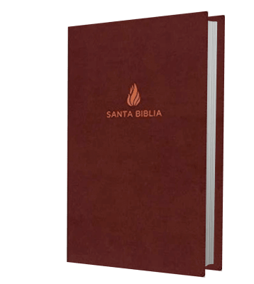 BIBLIA RVR1960 ULTRAFINA MARRON