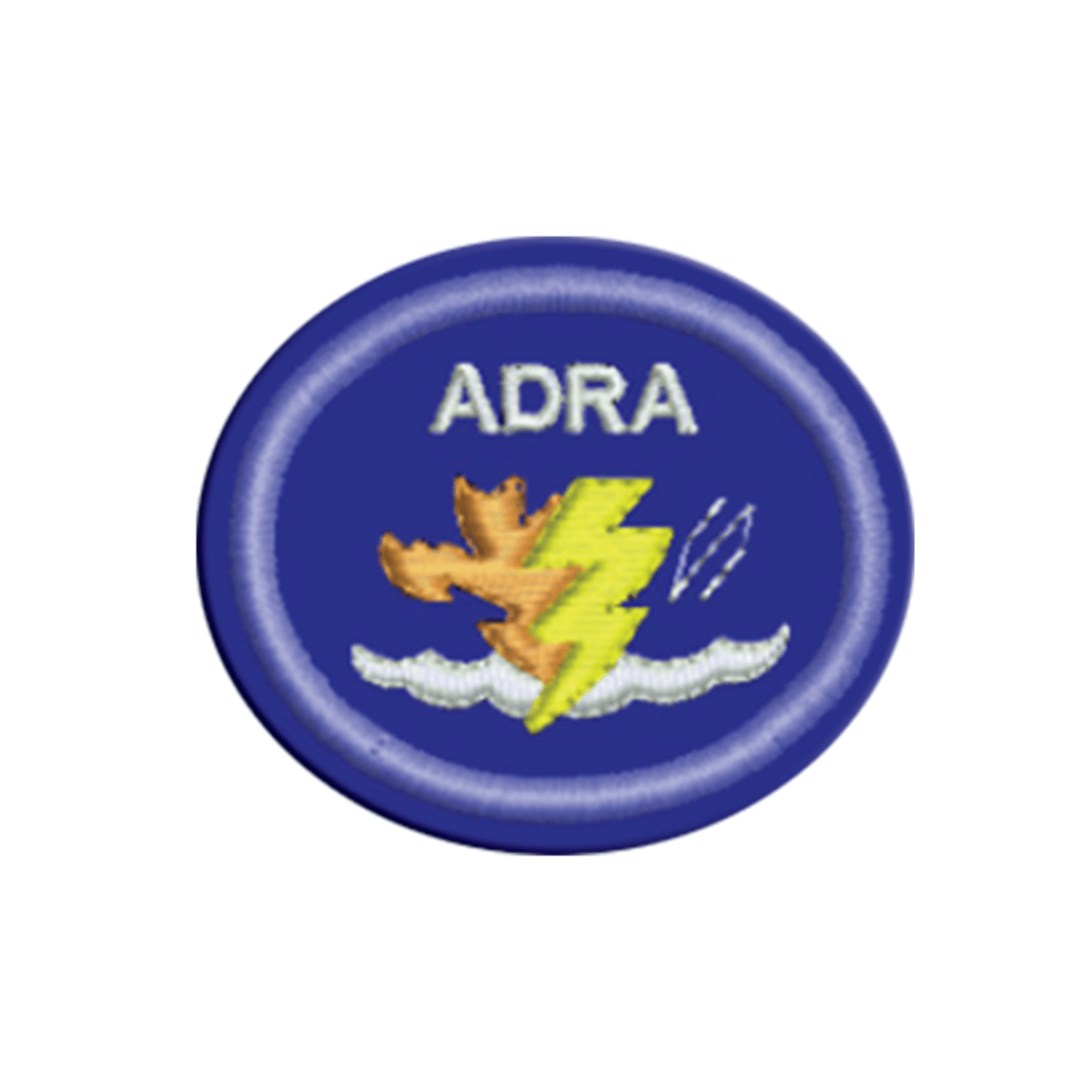 ESPECIALIDAD DE RESPUESTA A EMERGENCIAS Y DESASTRES - AD 0041