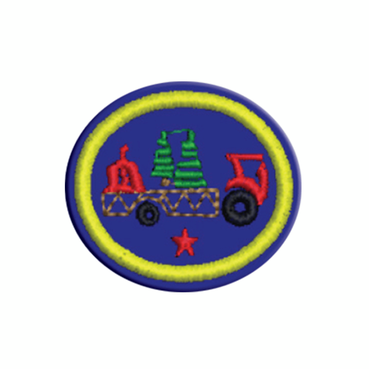 ESPECIALIDAD DE DESFILE CON CARROS ALEGÓRICOS (AVANZADO) - AM 0261