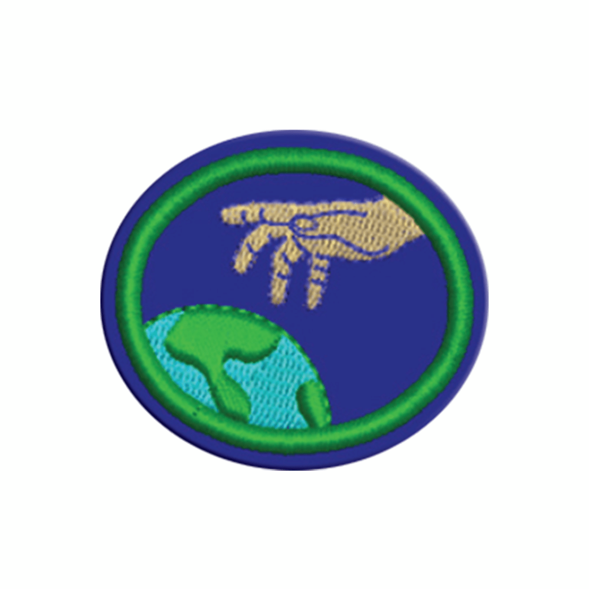 ESPECIALIDAD DE CREACIONISMO - AM 0351